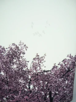 Bb Klostermann Langbörse Geldbeutel Geldbörse 3-679 Art Edition Sonne 7 Bb Klostermann Langbörse Geldbeutel Geldbörse 3-679 Art Edition Sonne -Nicii Plusch Geschaft 3 679 Art Edition Sonne 1 scaled