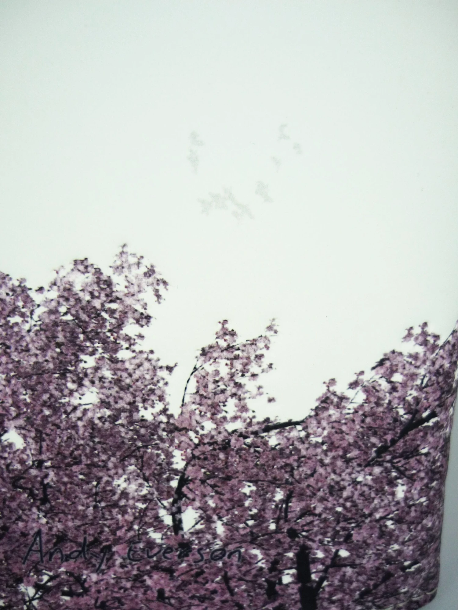 Bb Klostermann Langbörse Geldbeutel Geldbörse 3-679 Art Edition Sonne 3 Bb Klostermann Langbörse Geldbeutel Geldbörse 3-679 Art Edition Sonne – Bild 3