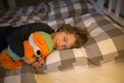 Nici 48061 Schlafmützen Fuchs Finjo Ca 22cm Plüsch Kuscheltier -Nicii Plusch Geschaft 42683 09 Image 2048x1365