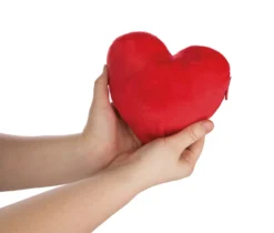 Nici 44427 Love Bär Schwester Rosa Wendeplüsch Bär In Herzkissen Ca 20cm -Nicii Plusch Geschaft 44427 07 ZA Frei 2048x1741