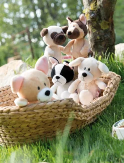 Nici 45104 Chihuahua Ca 20cm Dog Friends Schlenker Plüsch -Nicii Plusch Geschaft 45100 08 Milieu 1561x2048fFGmikUB82YwN