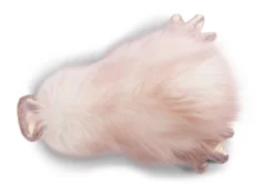 Nici 46631 Lifestyle Duck Ente Emmalina Altrosa 20cm Liegend Plüsch Kuscheltier -Nicii Plusch Geschaft 46631 04 ZA Frei 2048x1463