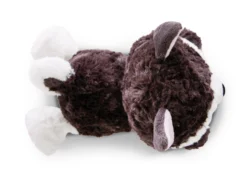 Nici 46926 Glubschis Cute Husky Barkley Liegend 25cm Plüsch Kuscheltier -Nicii Plusch Geschaft 46926 03 ZA Frei 2048x1439
