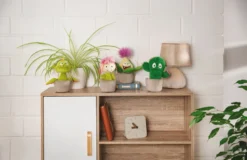 Nici 48942 Sedum Pflanze Amalia 18cm Plüschfigur Kuscheltier GREEN Funny Flowers 13 Nici 48942 Sedum Pflanze Amalia 18cm Plüschfigur Kuscheltier GREEN Funny Flowers -Nicii Plusch Geschaft 48941 11 Milieu 48942 48943 48944 Milieu me 1