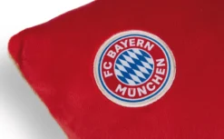 Nici 49080 Kissen FC BAYERN MÜNCHEN Bär Berni 43x25cm Plüsch FCB Dekokissen -Nicii Plusch Geschaft 49080 04 ZA weiss 792x492