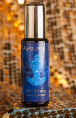 Berk Aureum Lux Spray Energiespray SC-503 Monster Weg